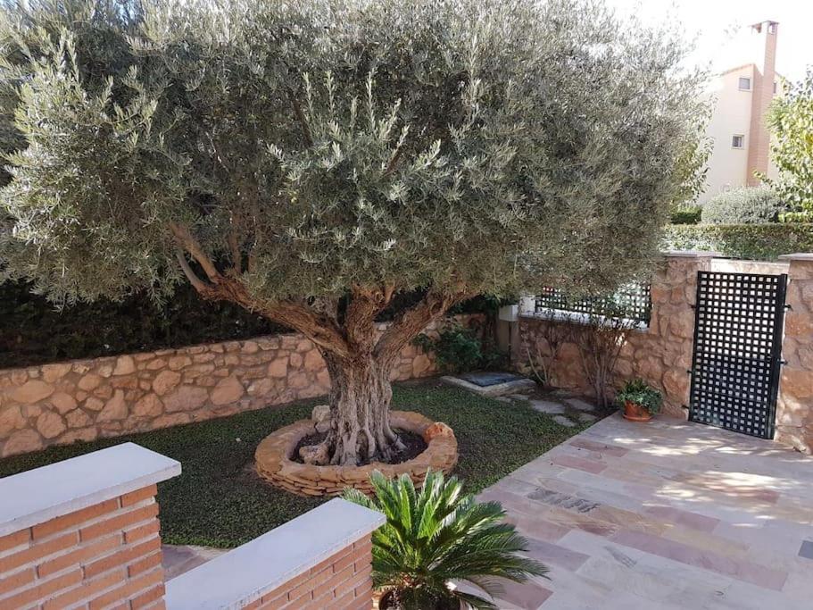 Chalet & Piscina-Jardin-Barbacoa Murcia Exterior photo